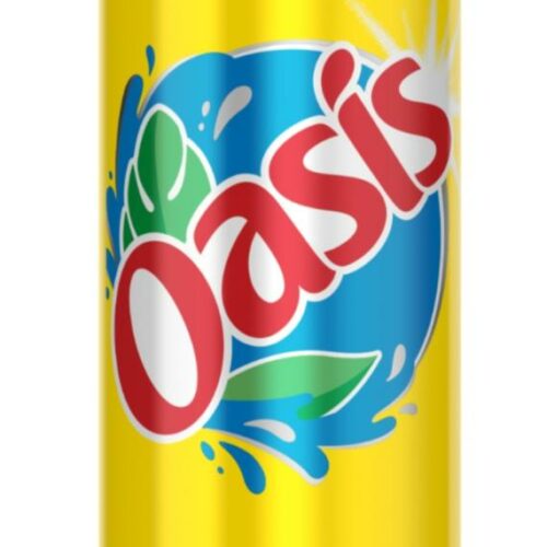 OASIS CITRON CITRON VERT 33CL*24